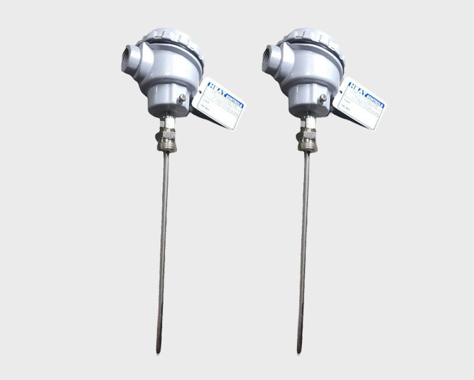 PT100 RTD Sensor