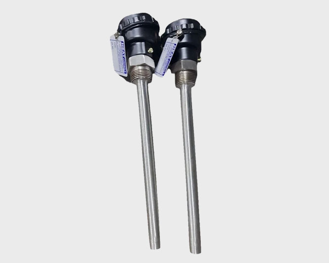 RTD Temperature Sensor